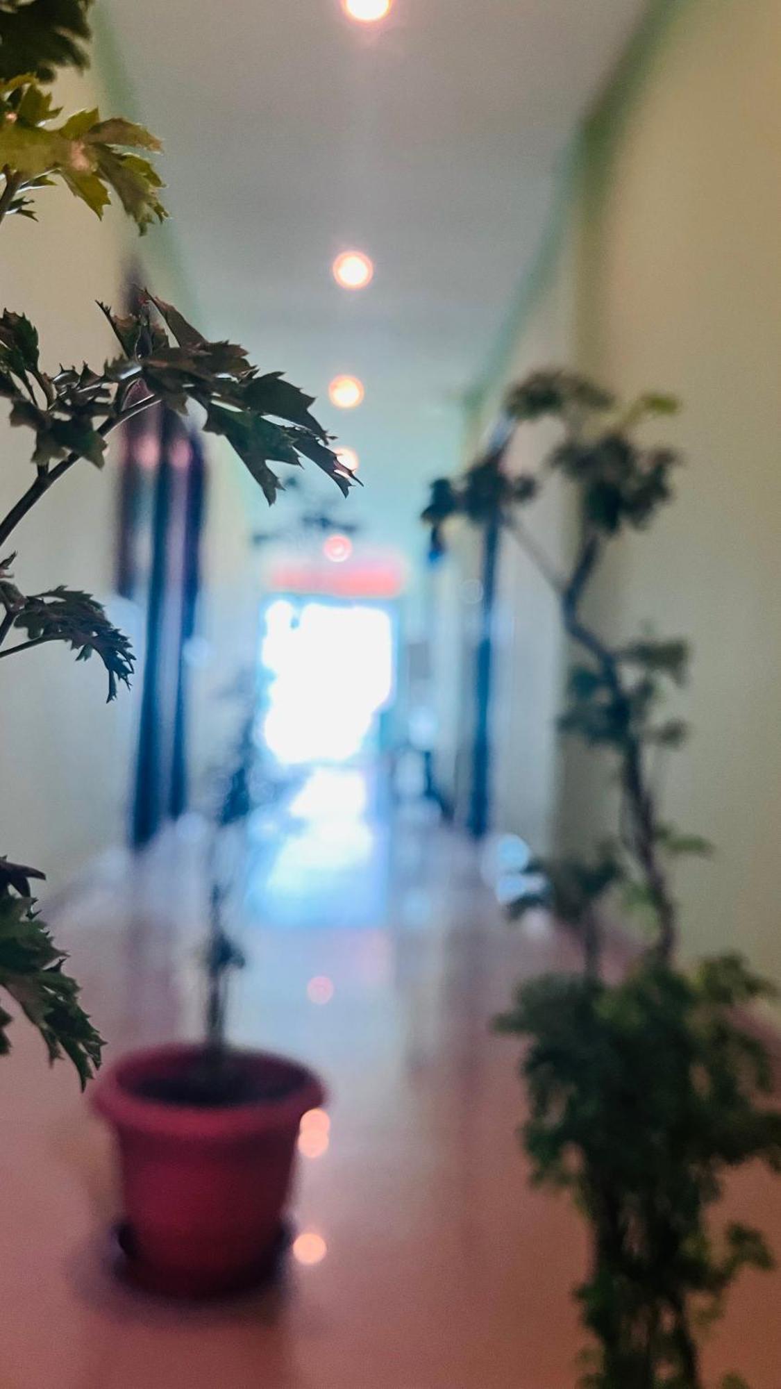 Skyway Rooms بونديتْشيري المظهر الخارجي الصورة